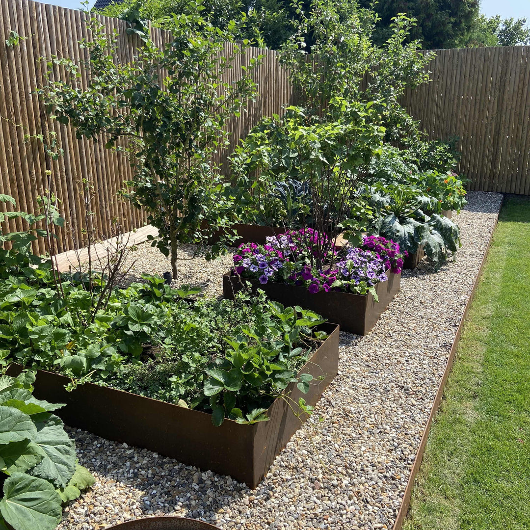 Vad kan du odla i odlingslådor? Få inspiration till frön och blommor