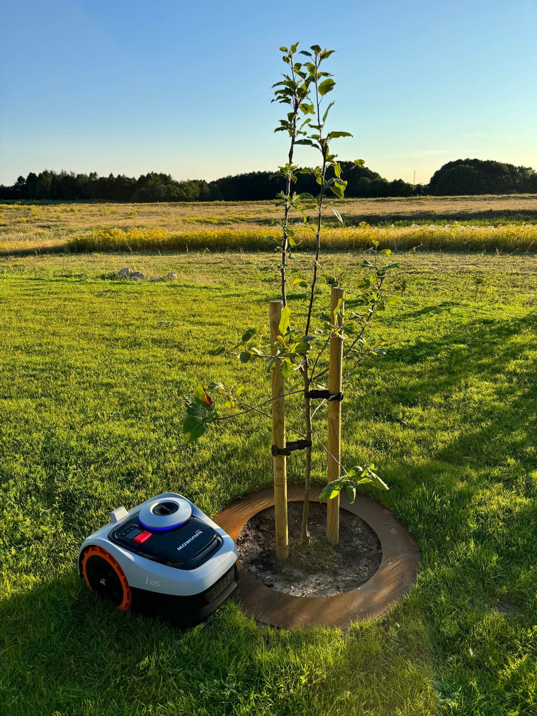 Robotcirkel cortenstål